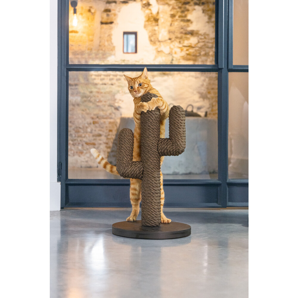 Beeztees Dbl Cactus Kedi Tırmalama Tahtası 35x35x60cm (Kahverengi)
