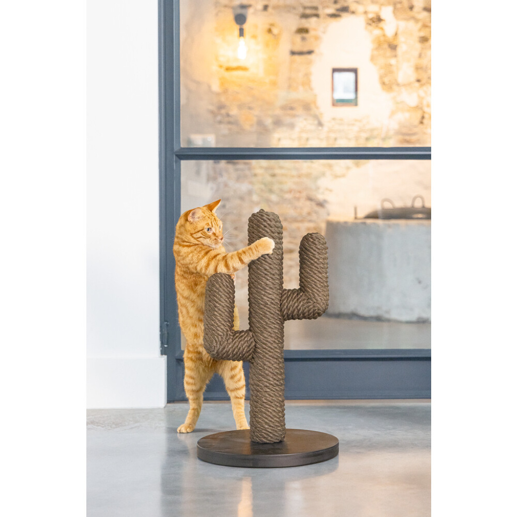 Beeztees Dbl Cactus Kedi Tırmalama Tahtası 35x35x60cm (Kahverengi)