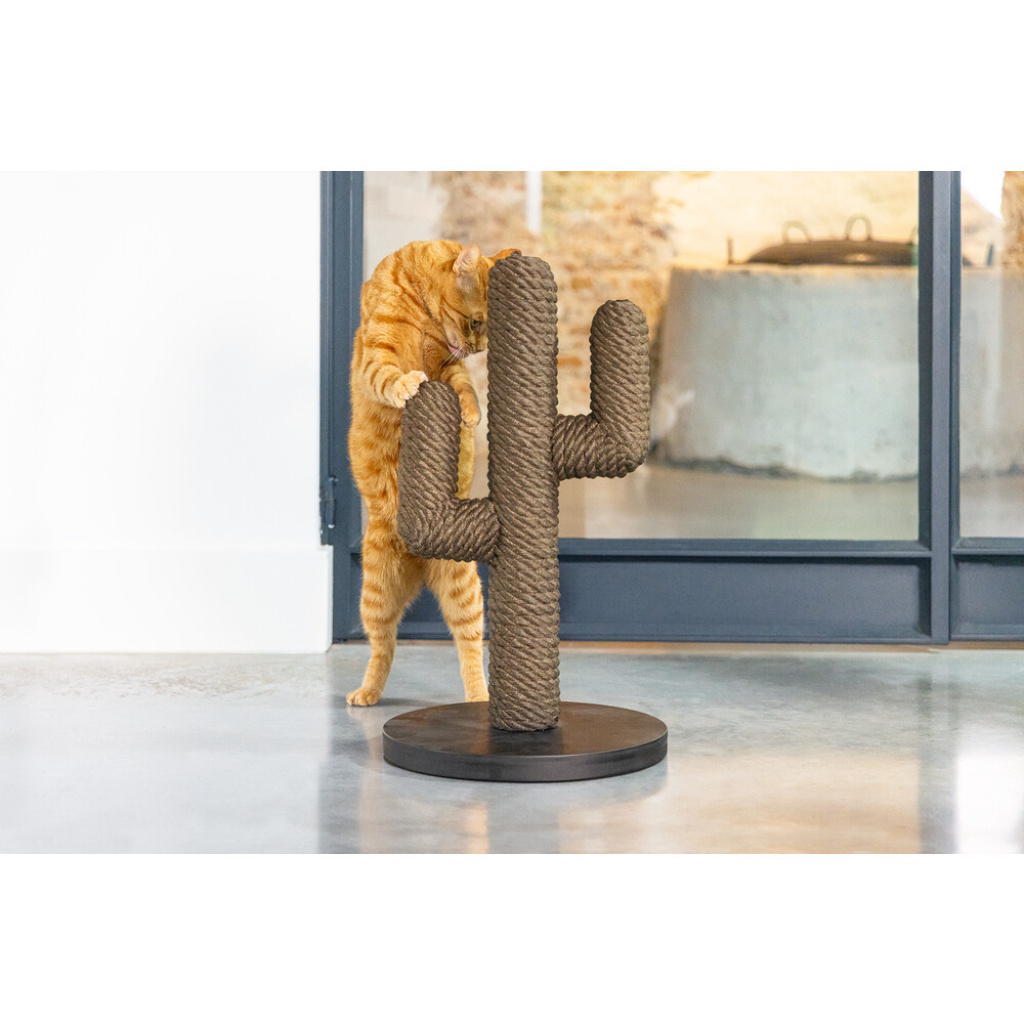 Beeztees Dbl Cactus Kedi Tırmalama Tahtası 35x35x60cm (Kahverengi)