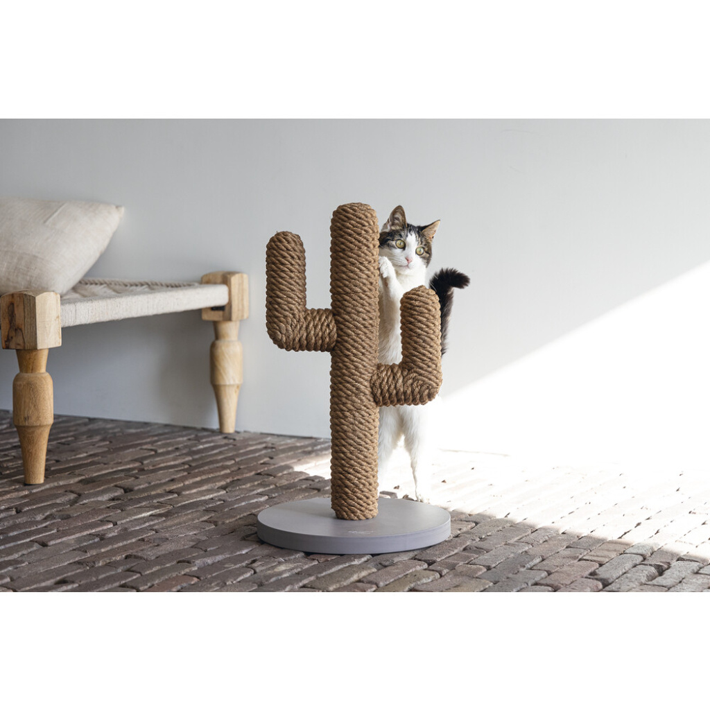 Beeztees Dbl Cactus Kedi Tırmalama Tahtası 35x35x60cm (Açık Kahverengi)