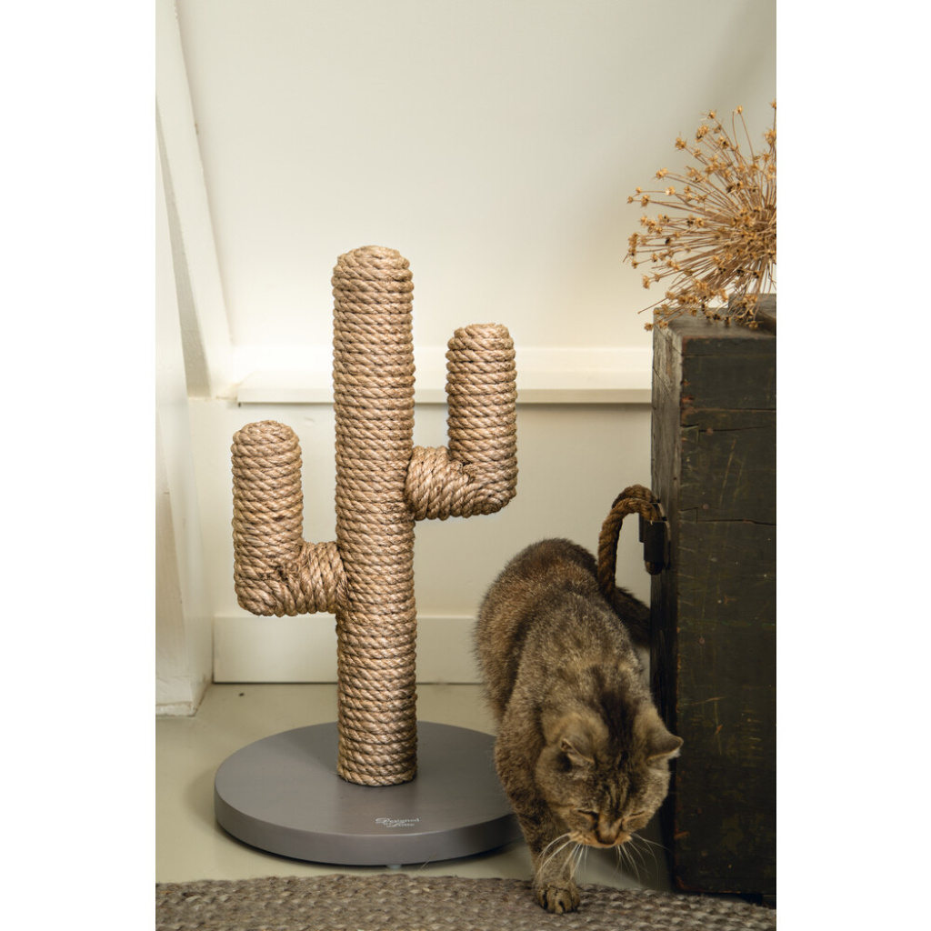 Beeztees Dbl Cactus Kedi Tırmalama Tahtası 35x35x60cm (Açık Kahverengi)