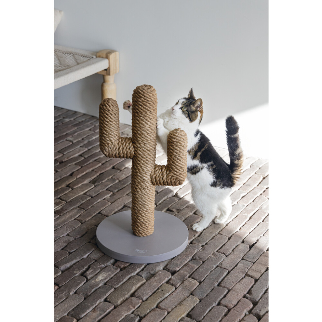 Beeztees Dbl Cactus Kedi Tırmalama Tahtası 35x35x60cm (Açık Kahverengi)