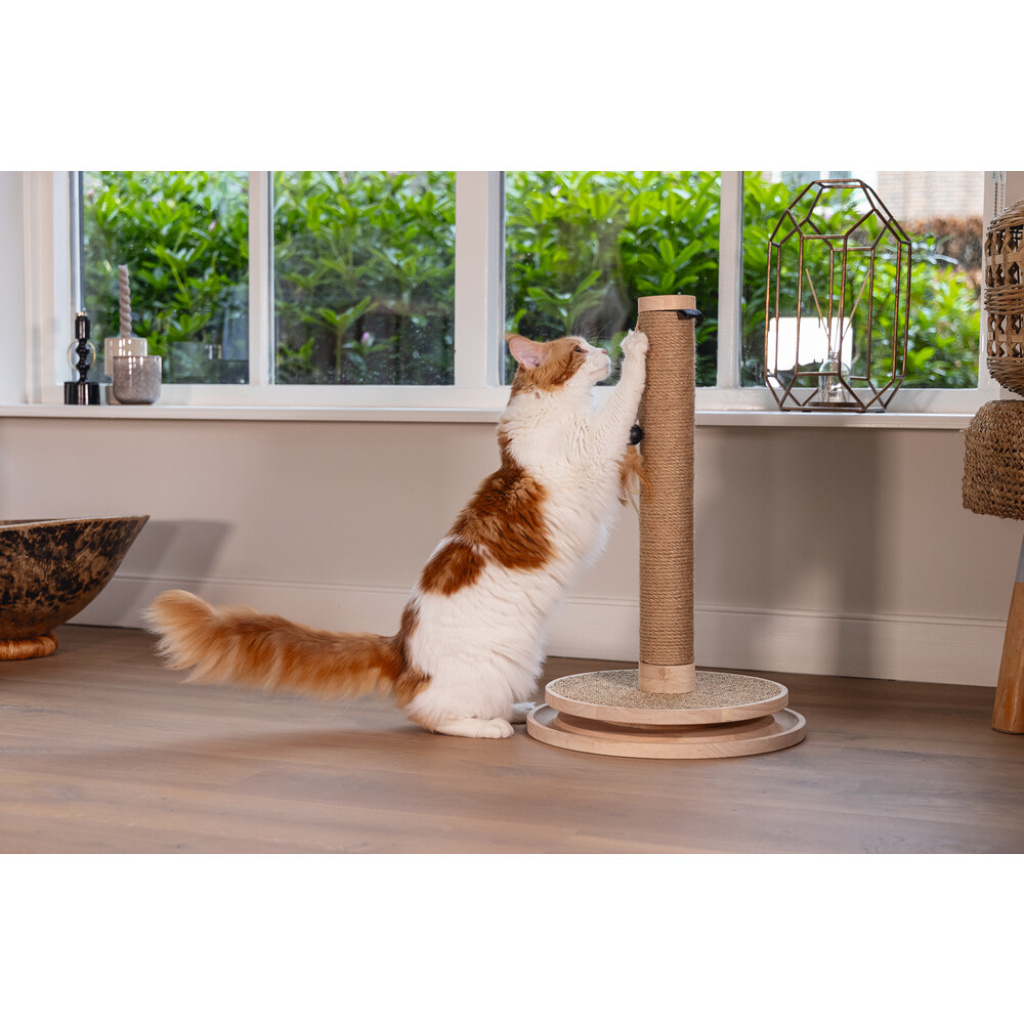 Beeztees Dbl Zavi Kedi Tırmalama Tahtası ve Oyuncağı 39,5x39,5x62cm (Kahverengi)