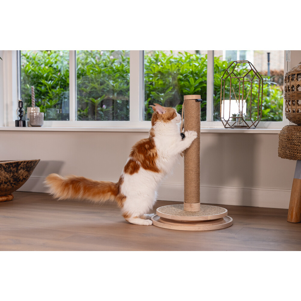 Beeztees Dbl Zavi Kedi Tırmalama Tahtası ve Oyuncağı 39,5x39,5x62cm (Kahverengi)