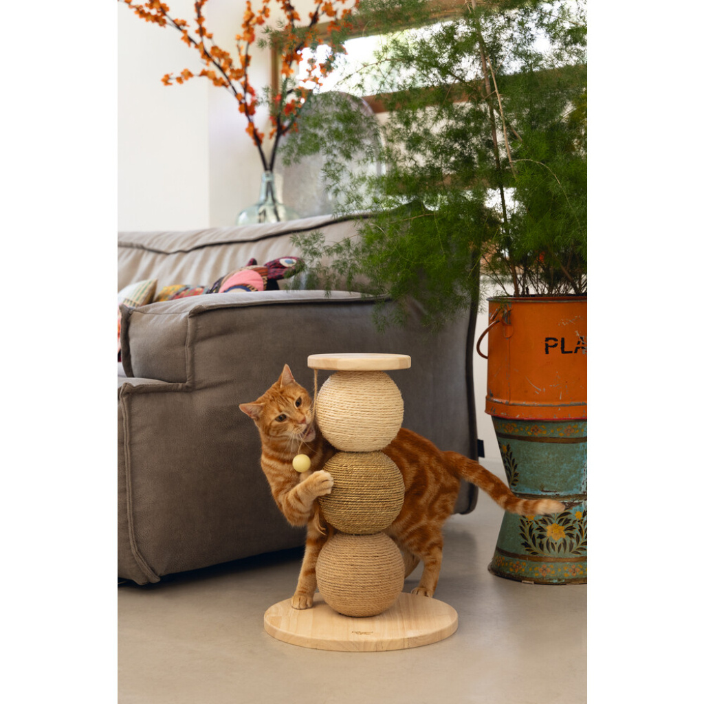 Beeztees Dbl Elio Kedi Tırmalama Tahtası ve Oyuncağı 34x34x47,5cm