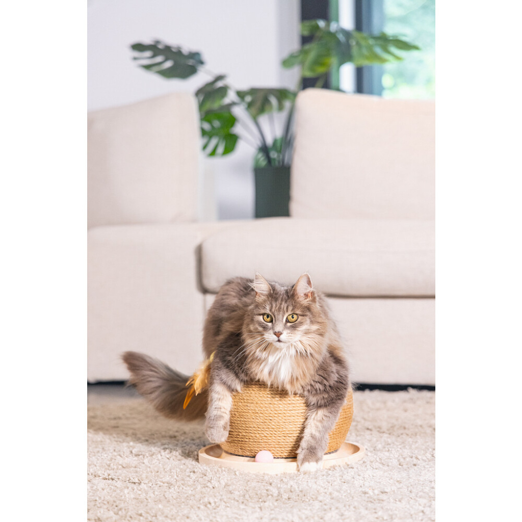 Beeztees Dbl Mila Kedi Tırmalama Tahtası ve Oyuncağı 29,5x29,5x22cm