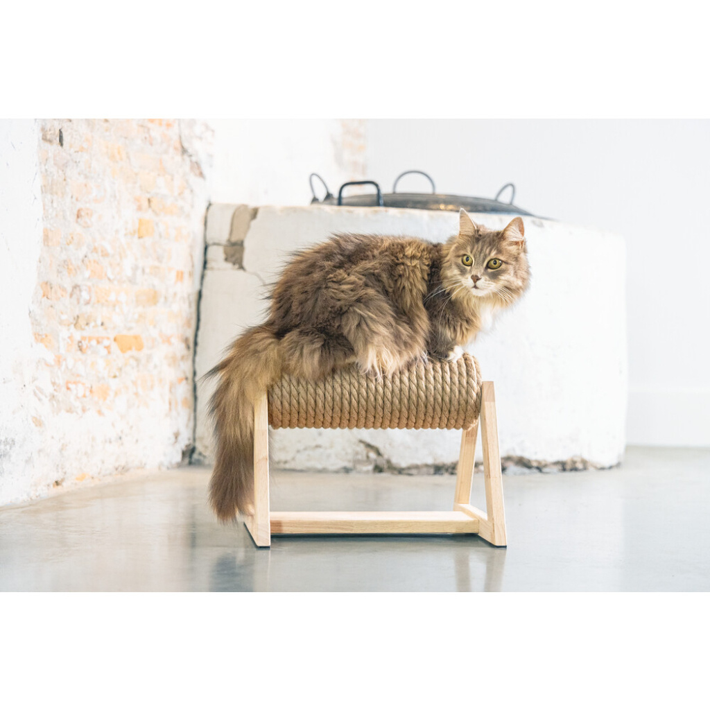 Beeztees Dbl Yves Kedi Tırmalama Tahtası 36x29,5x28cm