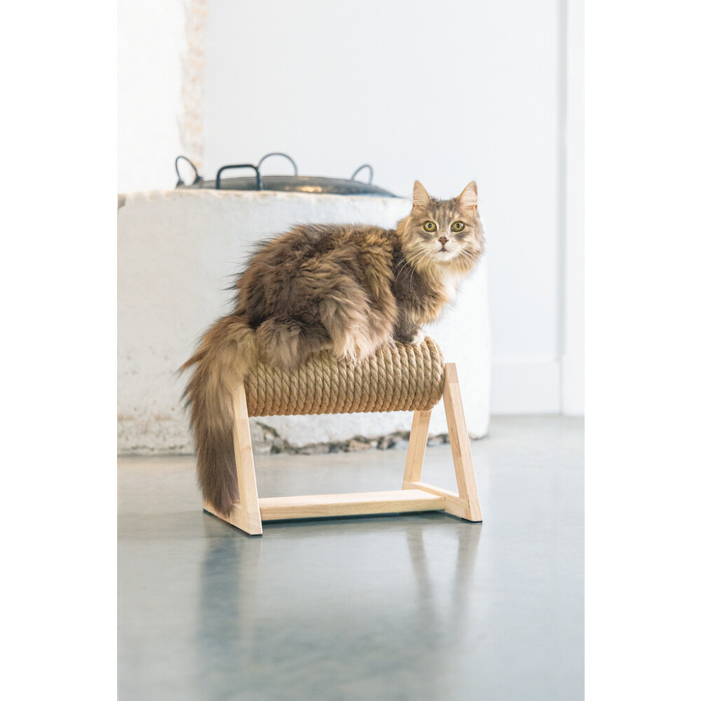 Beeztees Dbl Yves Kedi Tırmalama Tahtası 36x29,5x28cm