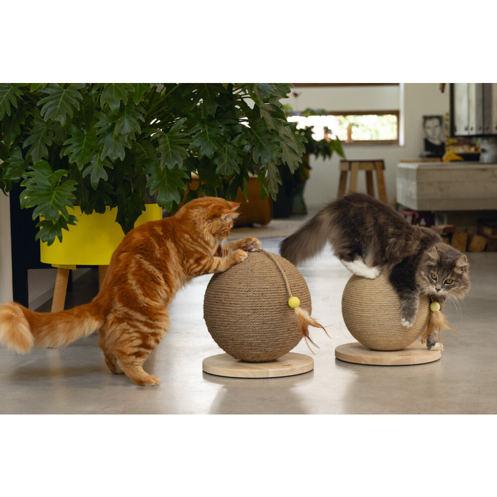 Beeztees Dbl Balty Kedi Tırmalama Tahtası ve Oyuncağı 30x30x27cm