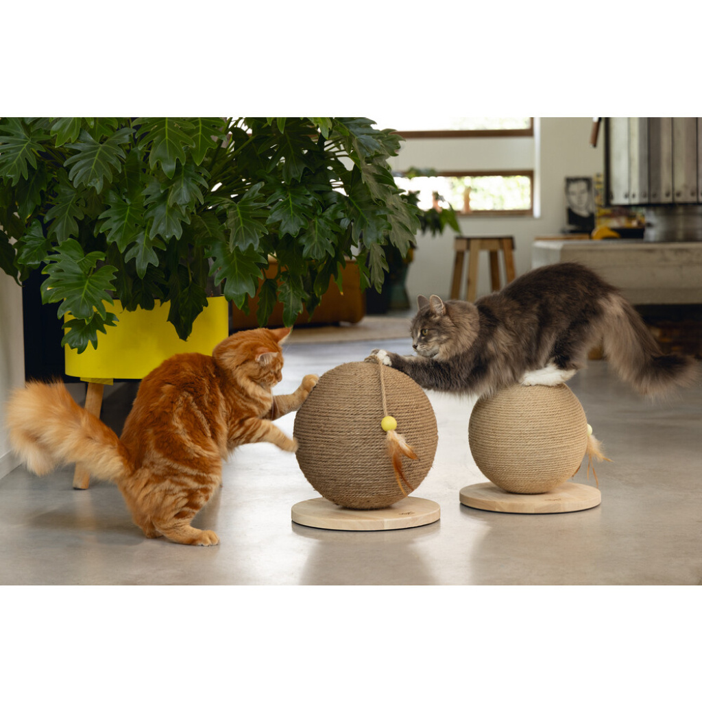 Beeztees Dbl Balty Kedi Tırmalama Tahtası ve Oyuncağı 30x30x27cm