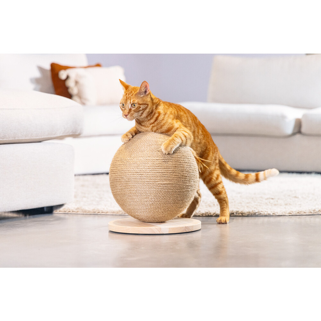 Beeztees Dbl Balty Kedi Tırmalama Tahtası ve Oyuncağı 30x30x27cm