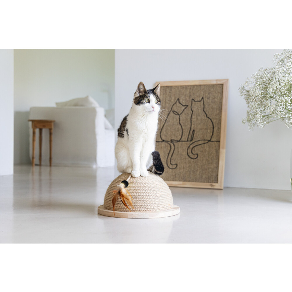 Beeztees Dbl Vivi Kedi Tırmalama Tahtası ve Oyuncağı 34,5x34,5x18cm