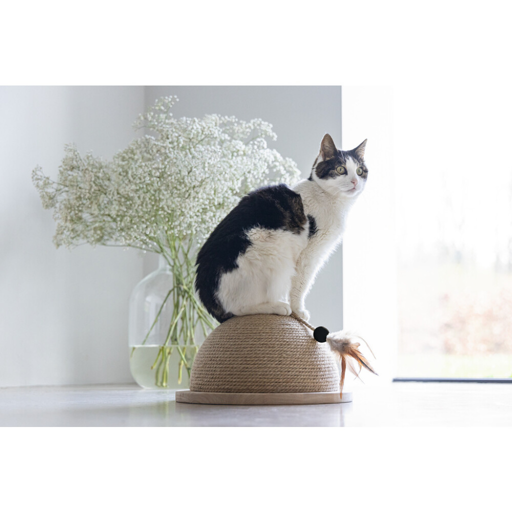 Beeztees Dbl Vivi Kedi Tırmalama Tahtası ve Oyuncağı 34,5x34,5x18cm