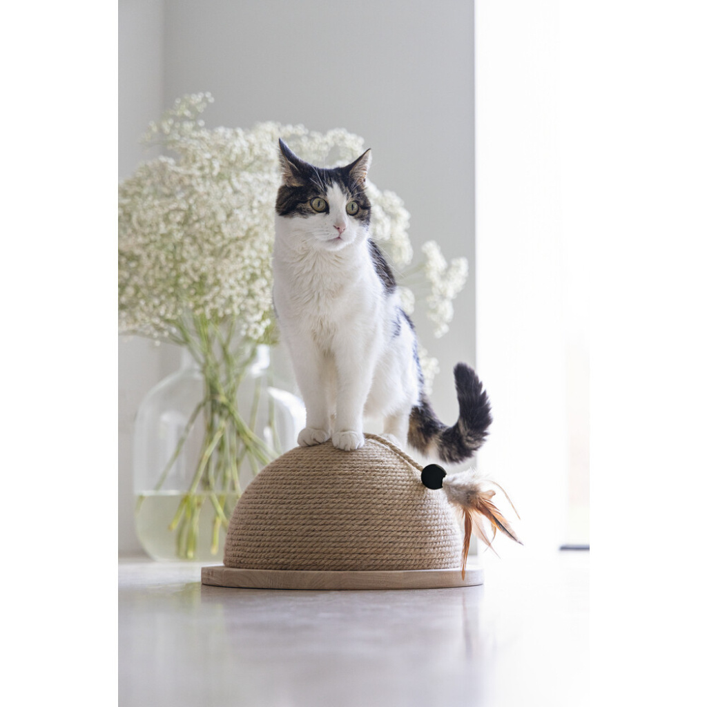 Beeztees Dbl Vivi Kedi Tırmalama Tahtası ve Oyuncağı 34,5x34,5x18cm