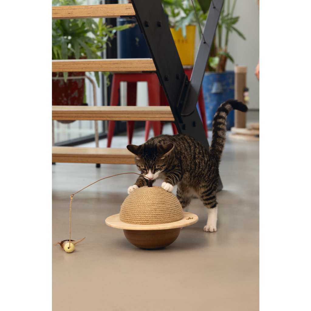 Beeztees Dbl Wiggly Kedi Tırmalama Tahtası ve Oyuncağı 29,5x29,5x20cm