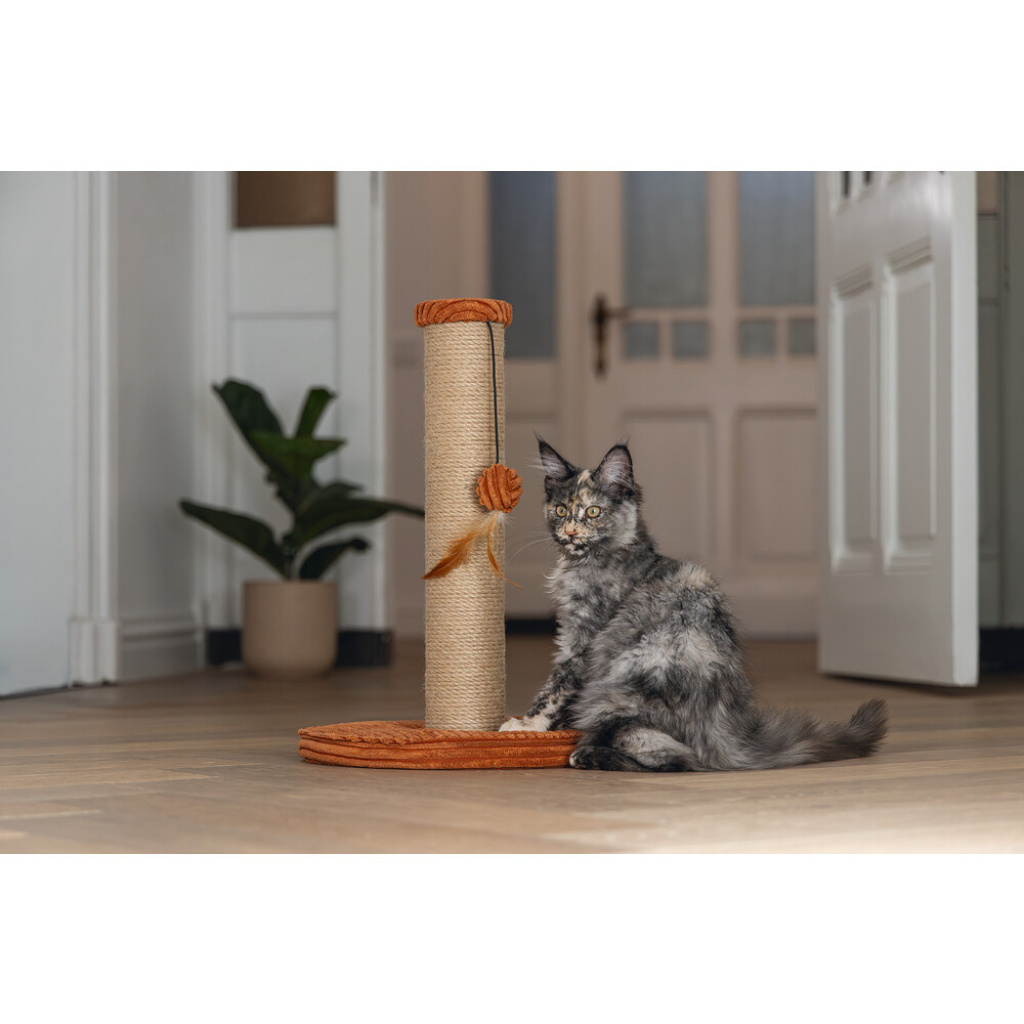 Beeztees Dbl Ribbed Kedi Tırmalama Tahtası ve Oyuncağı 35x35x50cm (Turuncu)