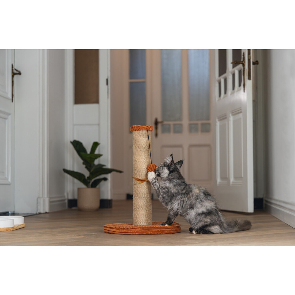 Beeztees Dbl Ribbed Kedi Tırmalama Tahtası ve Oyuncağı 35x35x50cm (Turuncu)