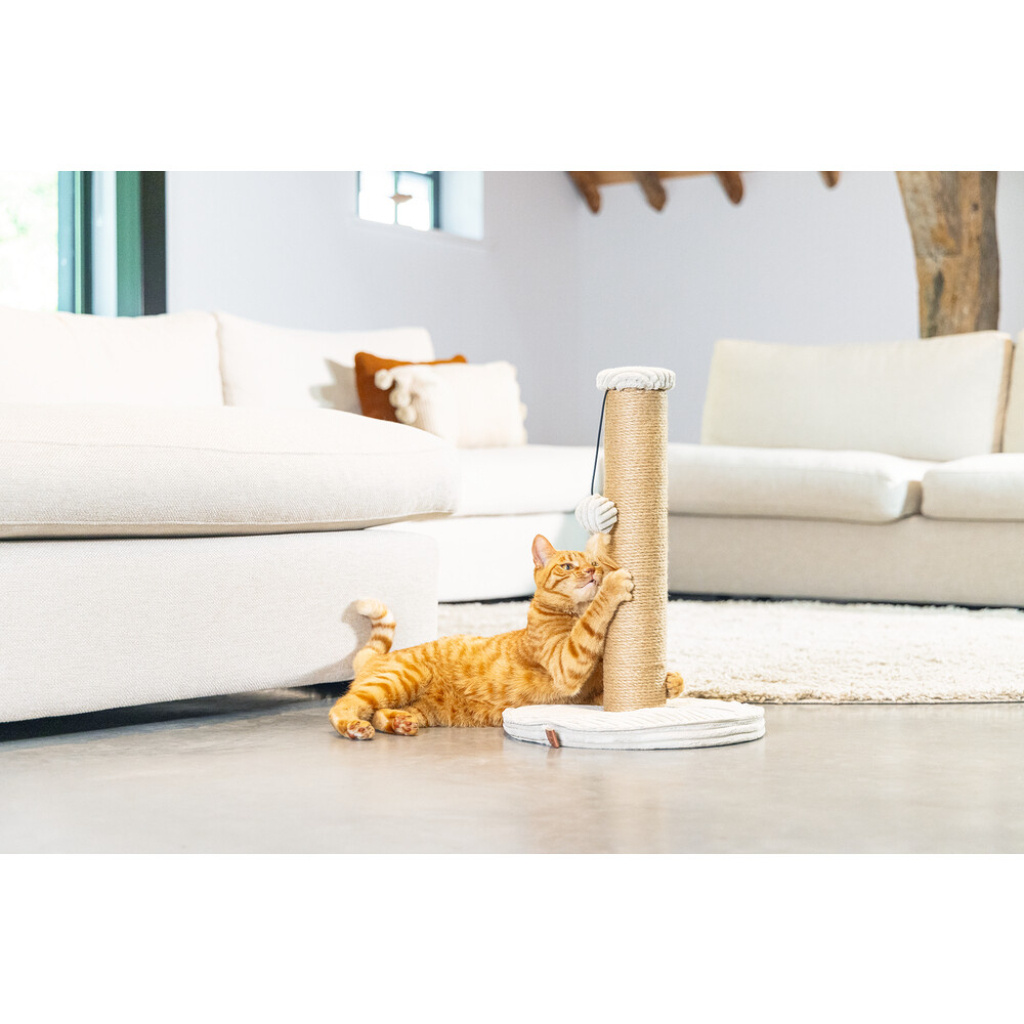 Beeztees Dbl Ribbed Kedi Tırmalama Tahtası ve Oyuncağı 35x35x50cm (Gri)