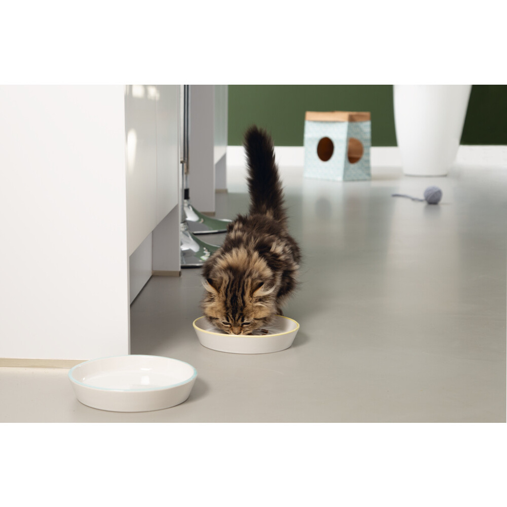 Beeztees Seramik Yavru Kedi Mama ve Su Kabı 17,5x3,5cm (Gri-Sarı)