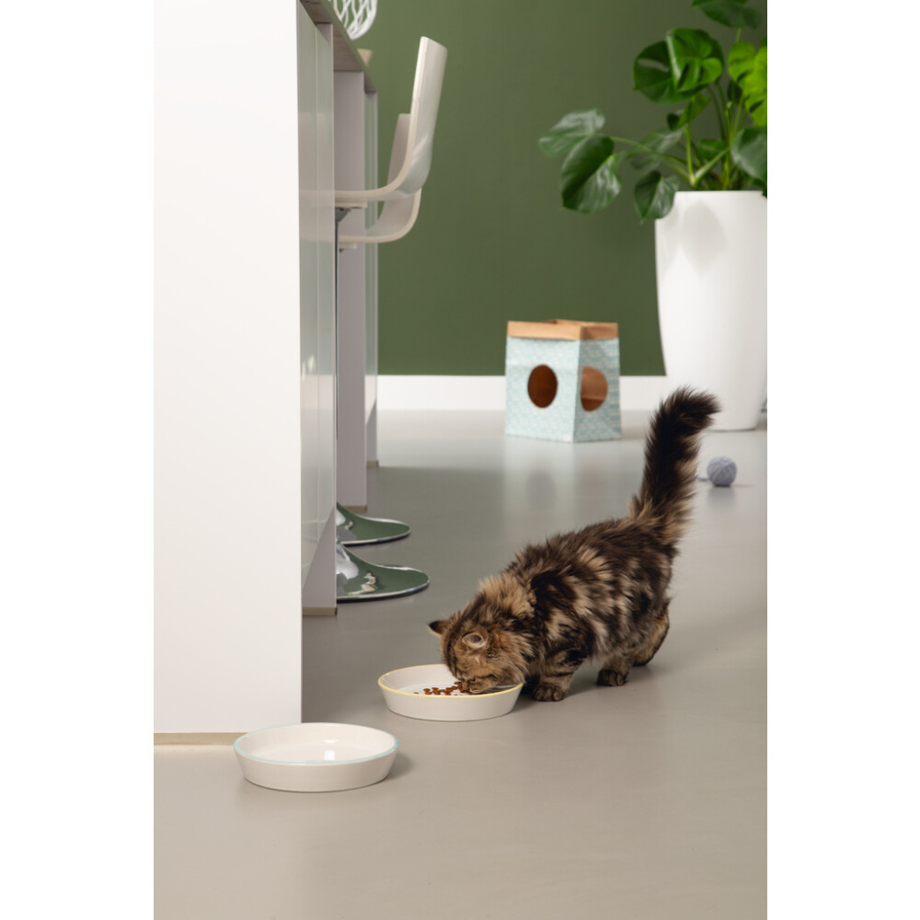 Beeztees Seramik Yavru Kedi Mama ve Su Kabı 17,5x3,5cm (Gri-Sarı)