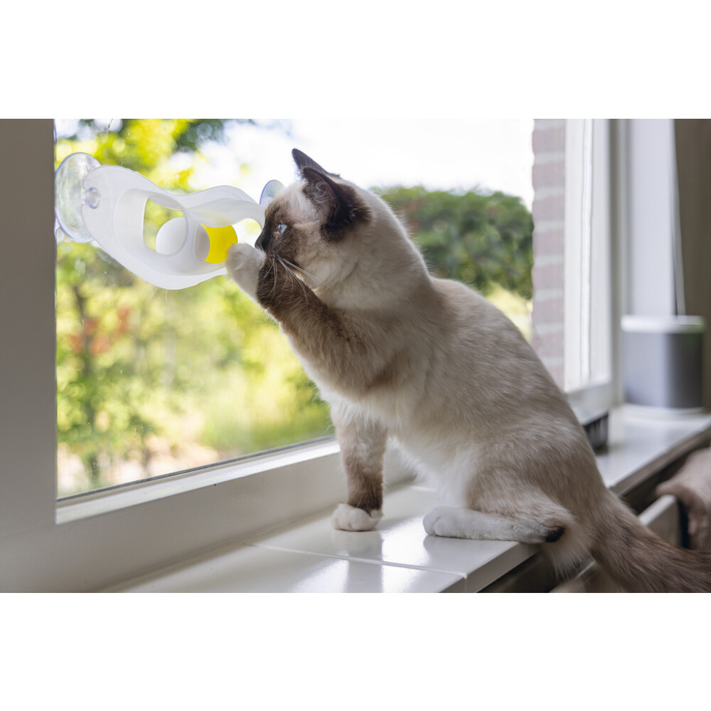 Beeztees Cama Tutturulabilir Yavru Kedi Oyuncağı 52x4x9cm