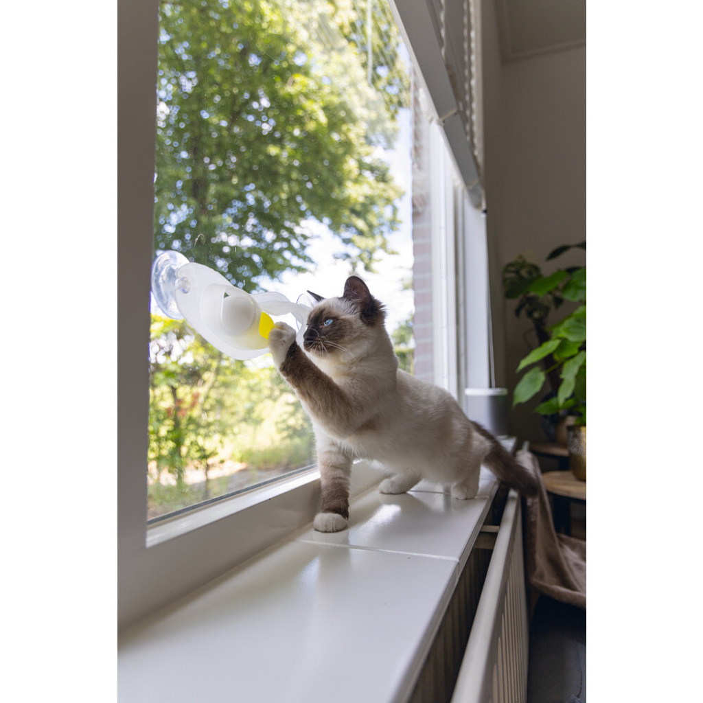 Beeztees Cama Tutturulabilir Yavru Kedi Oyuncağı 52x4x9cm