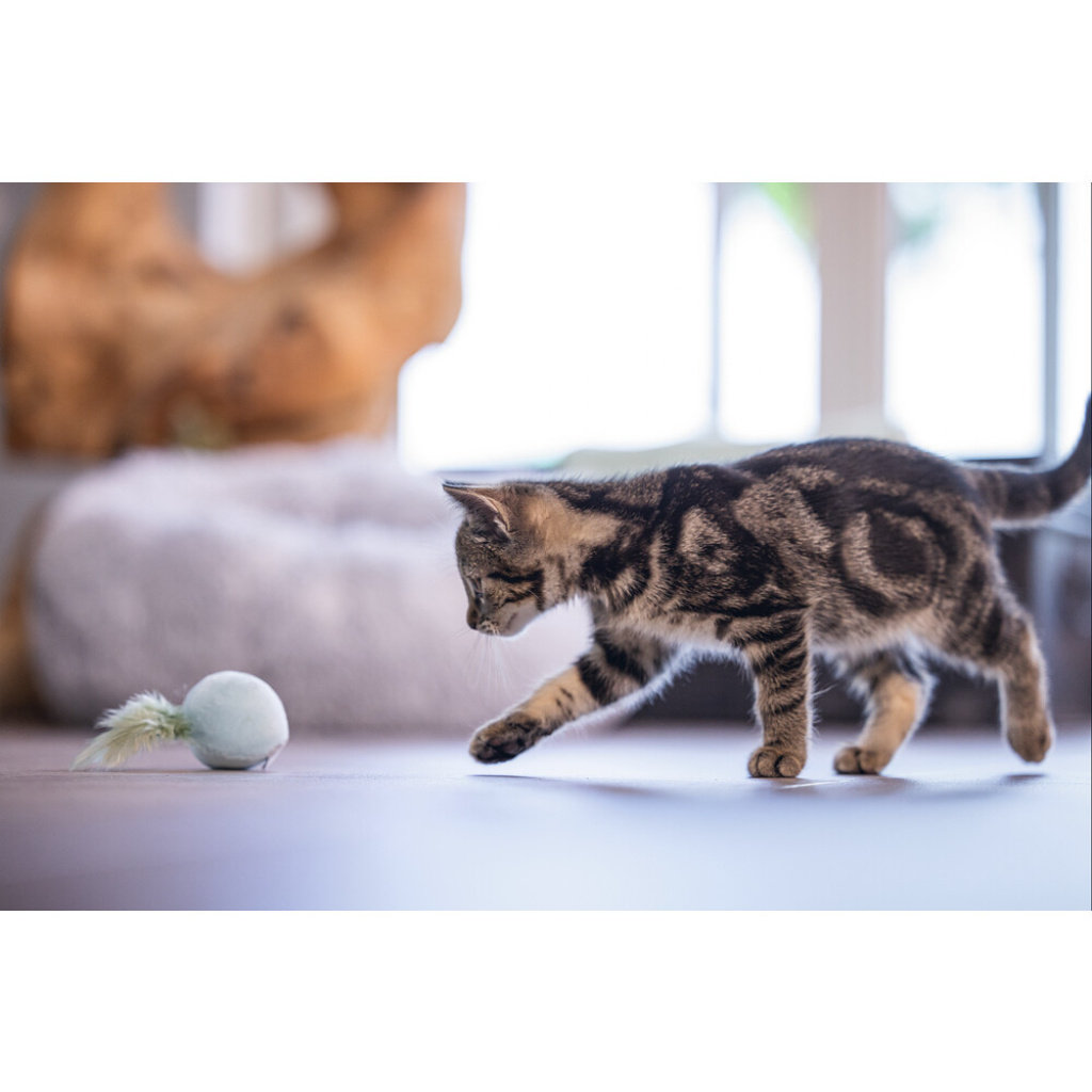 Beeztees Rizo Peluş Tüylü Top Yavru Kedi Oyuncağı 5x5x12cm