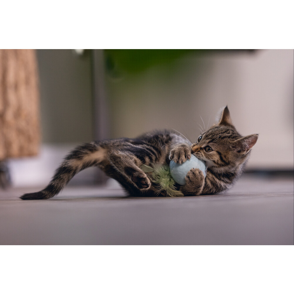 Beeztees Rizo Peluş Tüylü Top Yavru Kedi Oyuncağı 5x5x12cm
