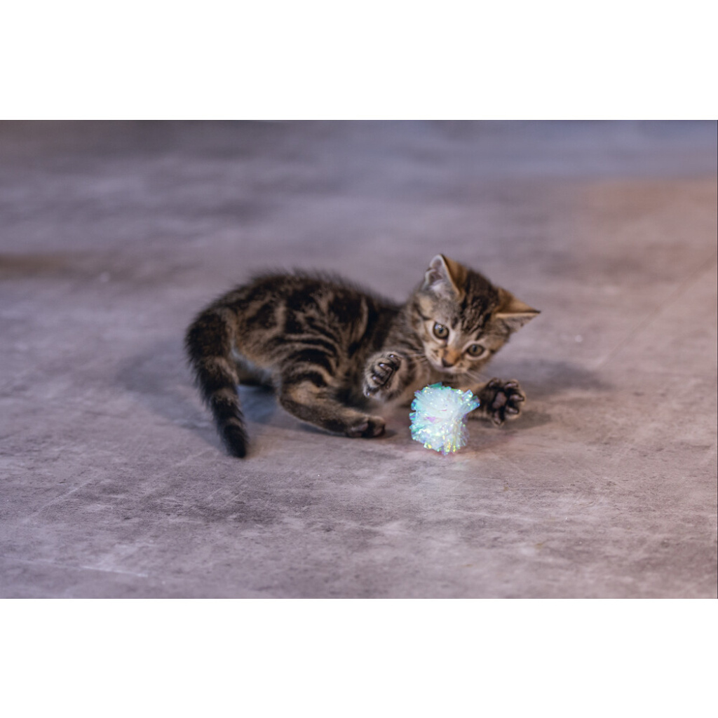 Beeztees Crinkle Evy Hışırtılı Top Yavru Kedi Oyuncağı 5cm (4 Adet)