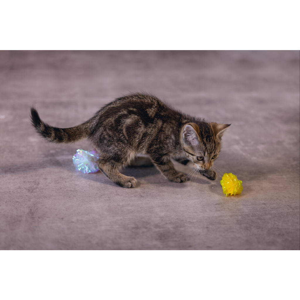 Beeztees Crinkle Evy Hışırtılı Top Yavru Kedi Oyuncağı 5cm (4 Adet)
