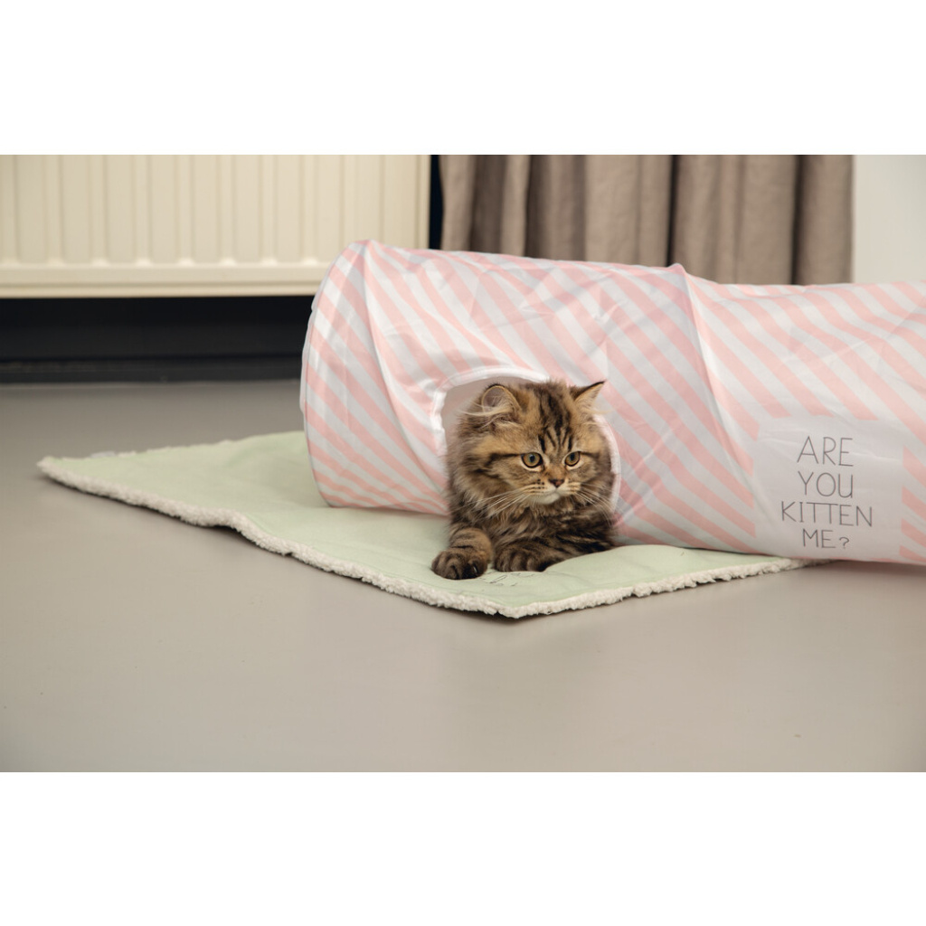 Beeztees Yavru Kedi Oyun Tüneli 60x24x24cm