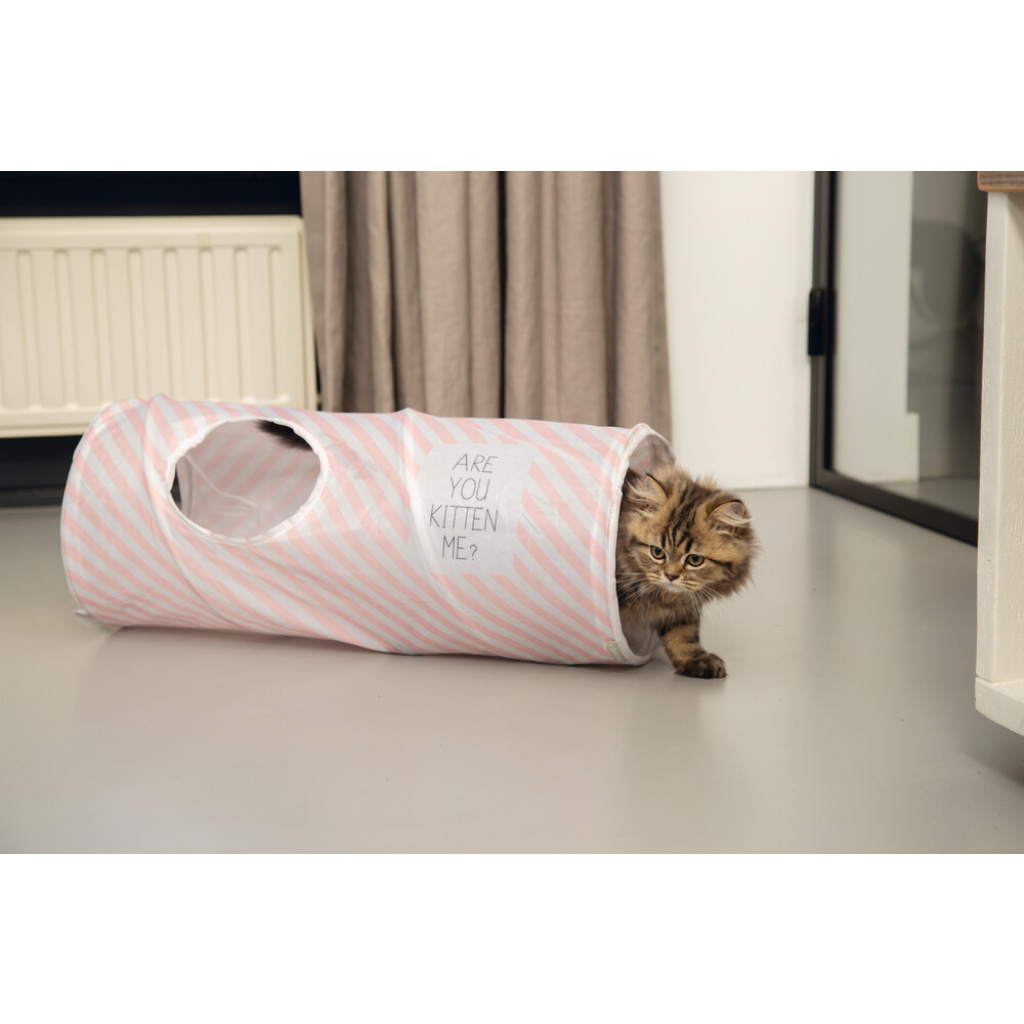 Beeztees Yavru Kedi Oyun Tüneli 60x24x24cm