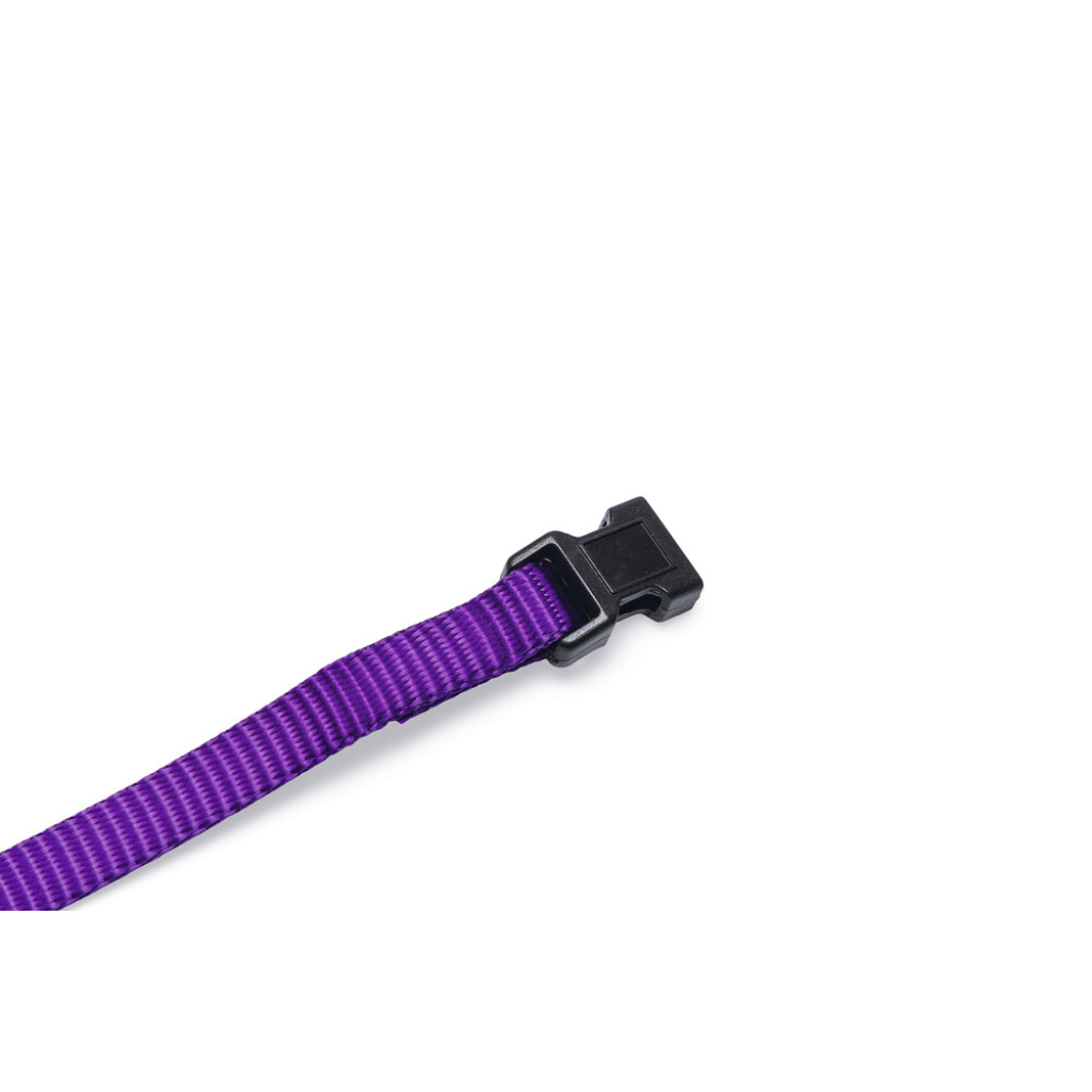Beeztees Yavru Köpek Boyun Tasması 22-35cm