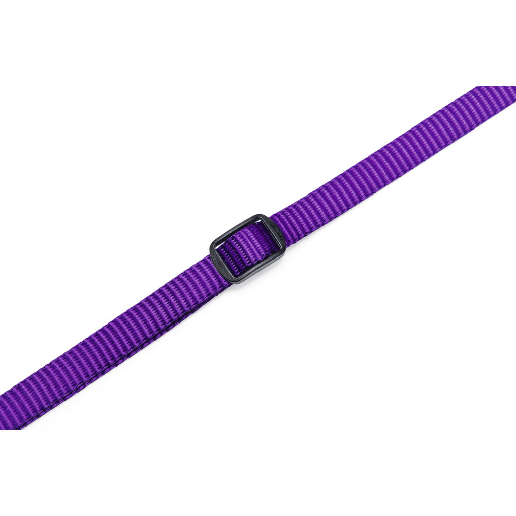 Beeztees Yavru Köpek Boyun Tasması 22-35cm