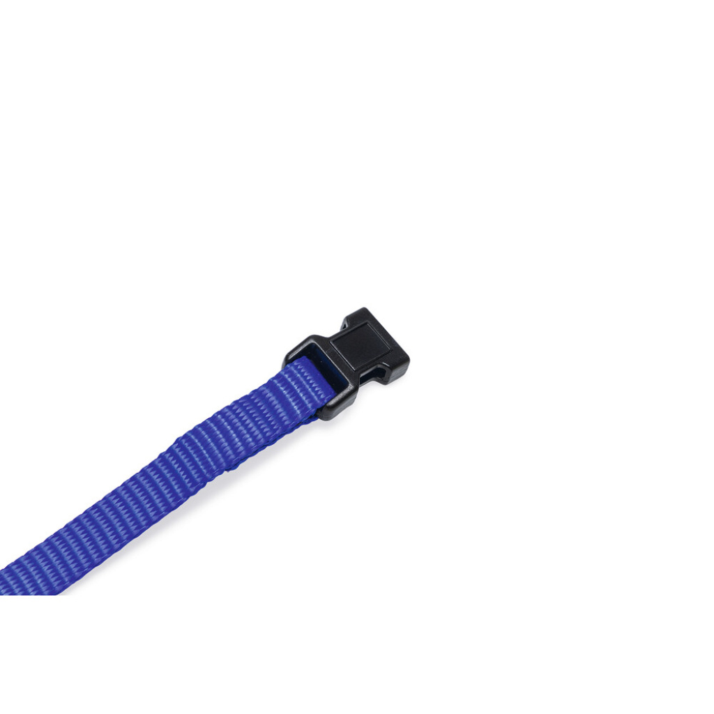 Beeztees Yavru Köpek Boyun Tasması 22-35cm