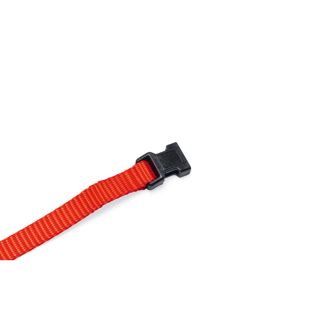 Beeztees Yavru Köpek Boyun Tasması 22-35cm