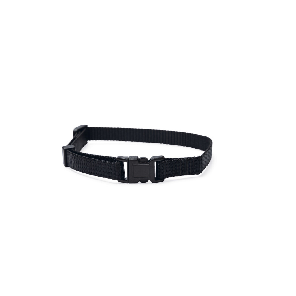 Beeztees Yavru Köpek Boyun Tasması 22-35cm