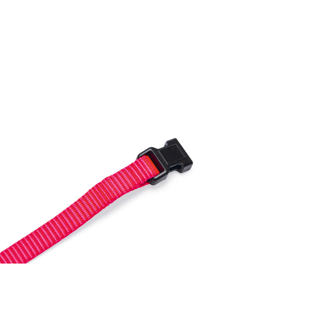 Beeztees Yavru Köpek Boyun Tasması 22-35cm