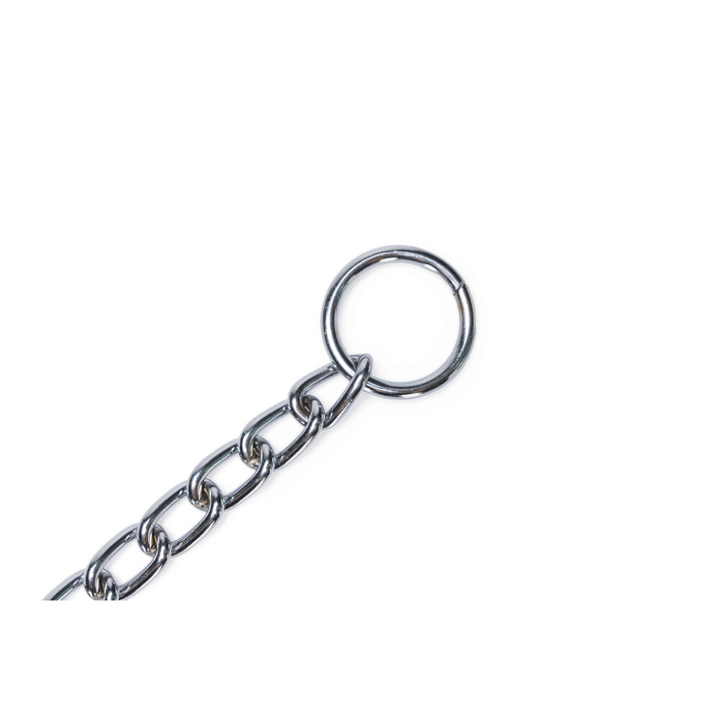 Beeztees Zincir Köpek Boyun Tasması 70x1x0,3cm