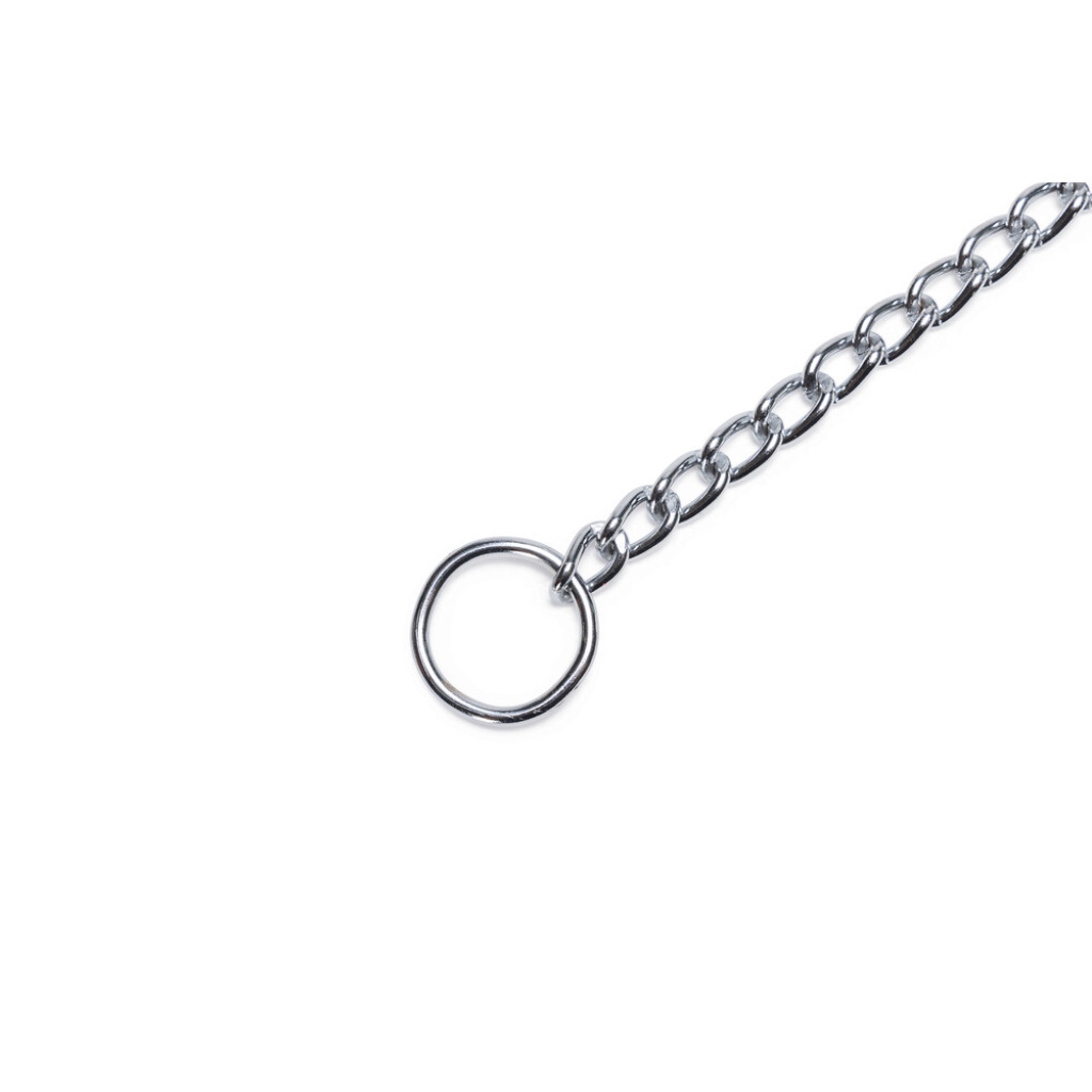 Beeztees Zincir Köpek Boyun Tasması 55cm
