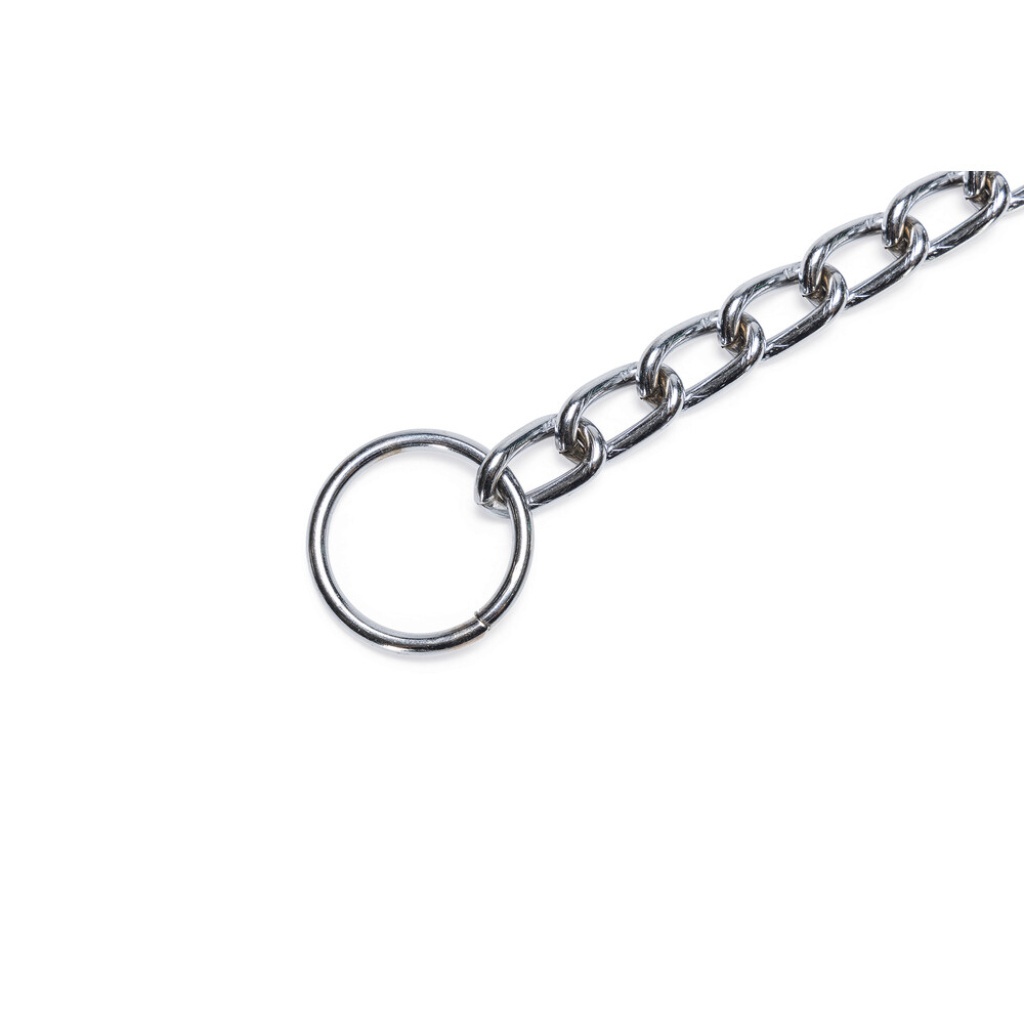Beeztees Zincir Köpek Boyun Tasması 50cm