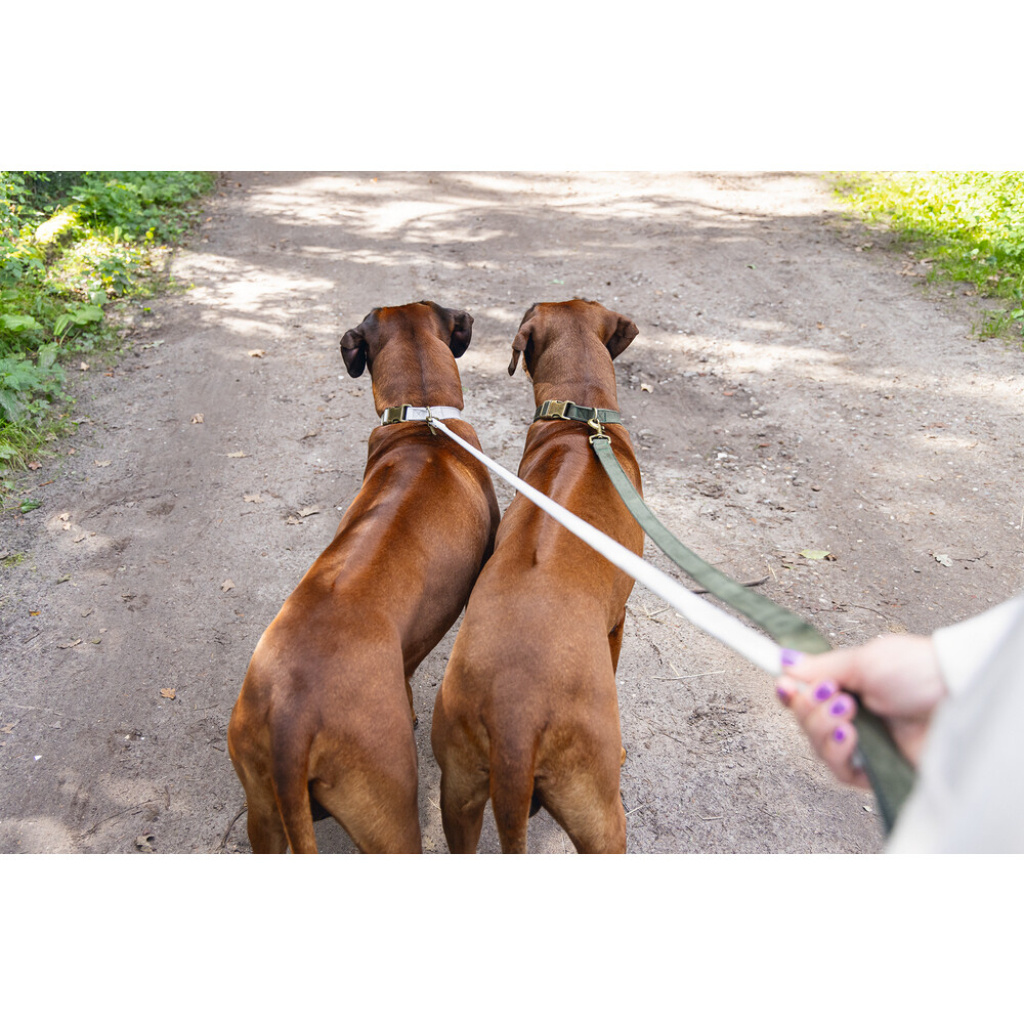 Beeztees Dbl Velura Kadife Köpek Boyun Tasması 48-70cm (Gri)