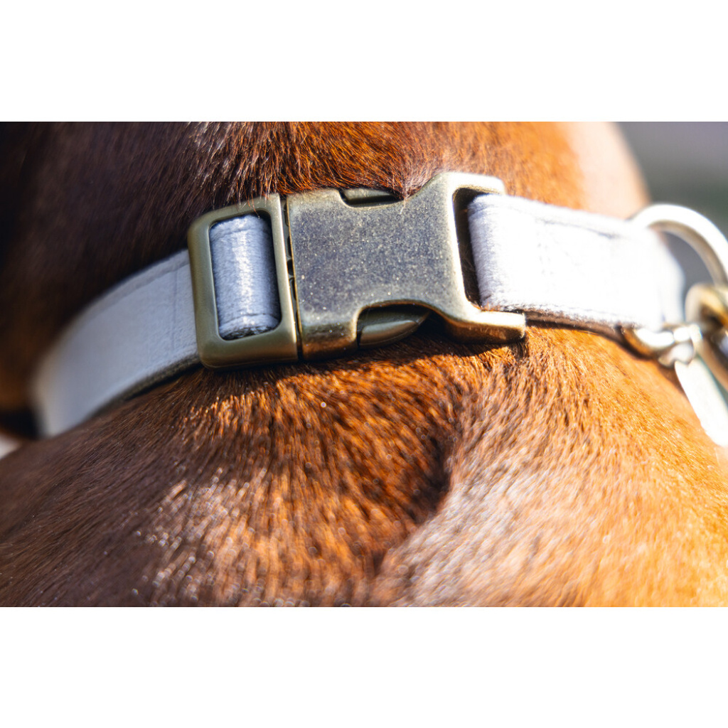 Beeztees Dbl Velura Kadife Köpek Boyun Tasması 48-70cm (Gri)