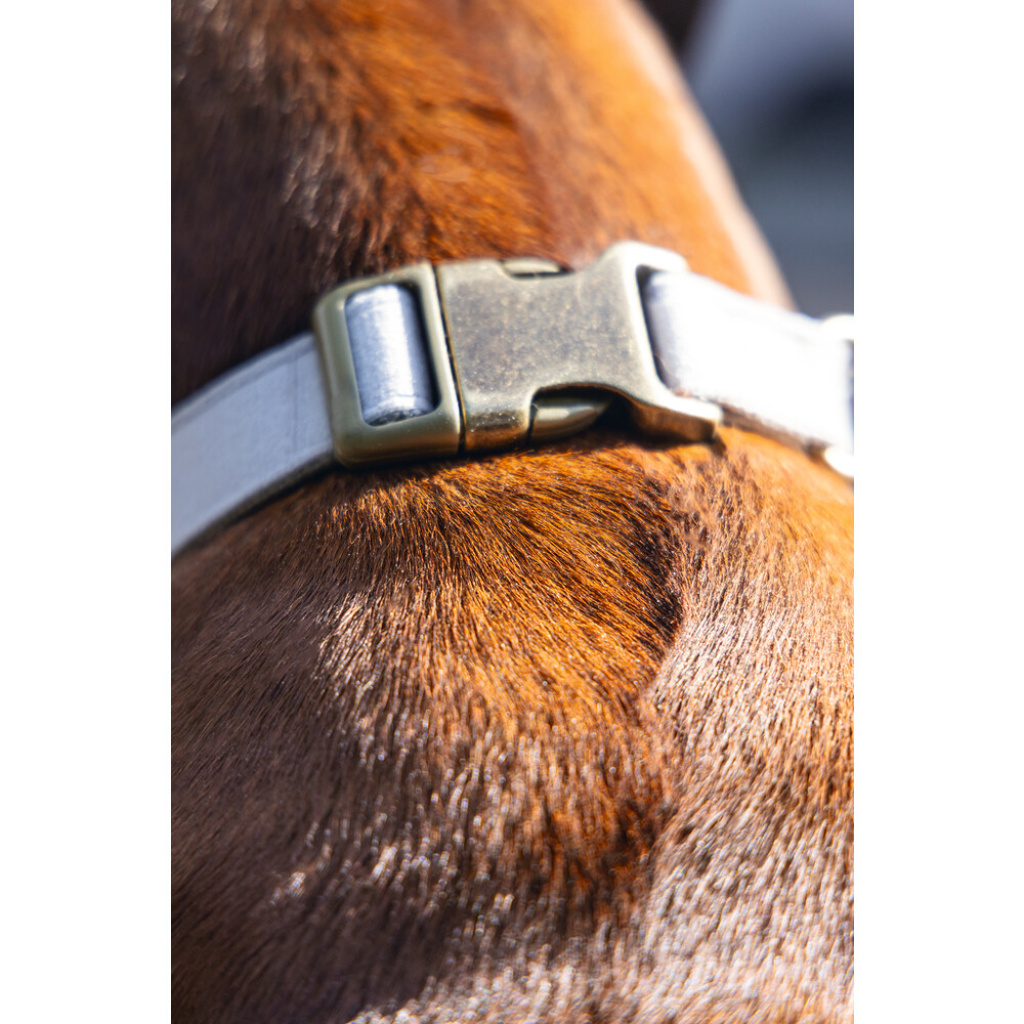 Beeztees Dbl Velura Kadife Köpek Boyun Tasması 48-70cm (Gri)