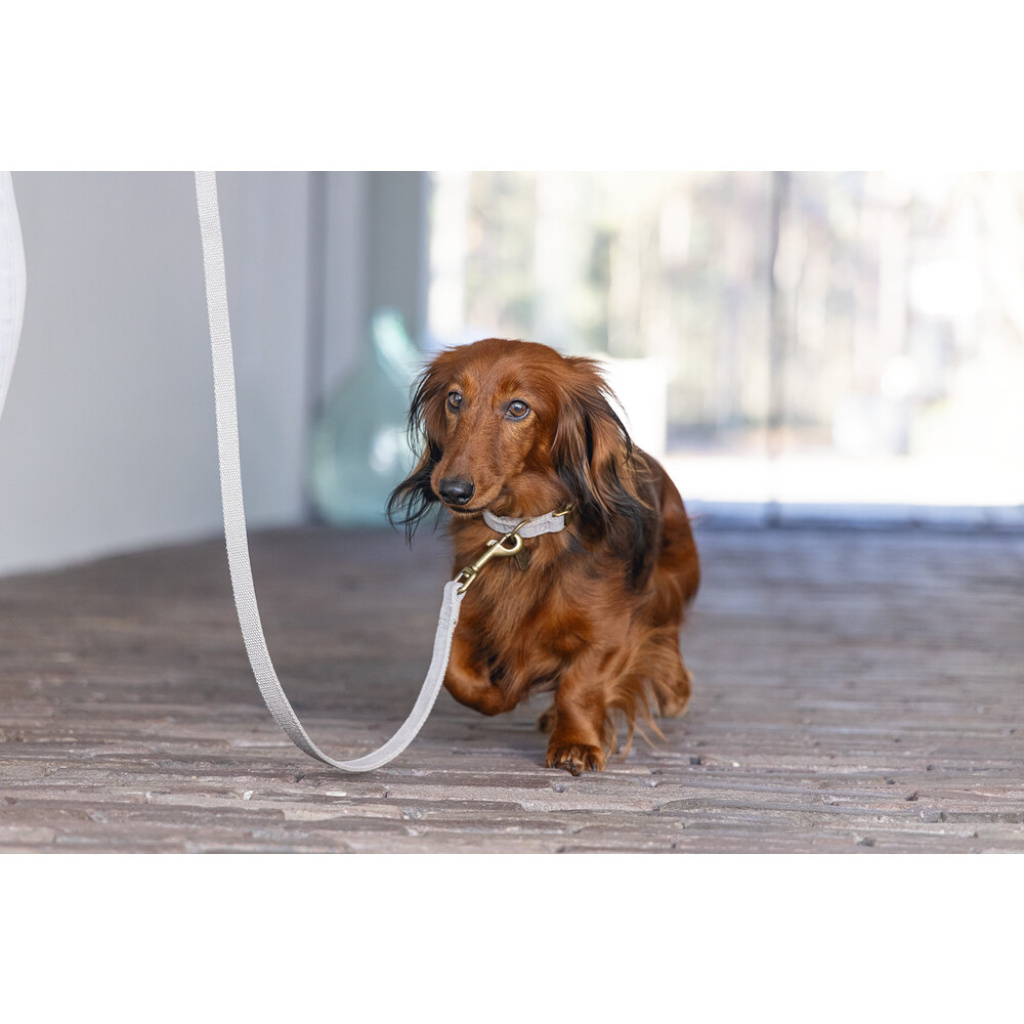 Beeztees Dbl Velura Kadife Köpek Boyun Tasması 26-40cm (Gri)