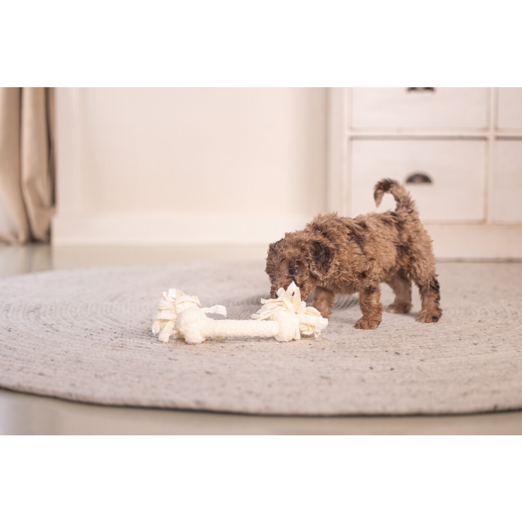 Beeztees Peluş Çift Düğümlü Diş İpi Yavru Köpek Oyuncağı 20x6x4,5cm (Pembe)