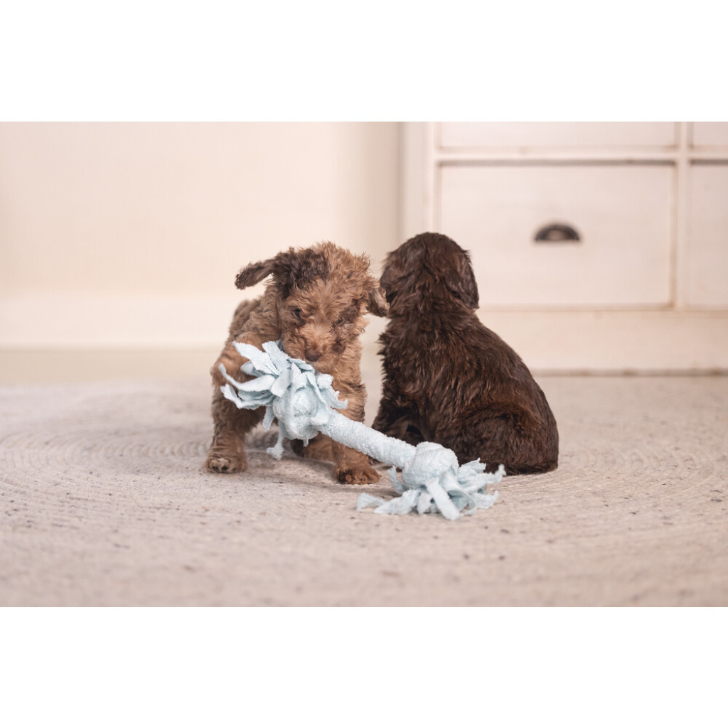 Beeztees Peluş Çift Düğümlü Diş İpi Yavru Köpek Oyuncağı 20x6x4,5cm (Mavi)