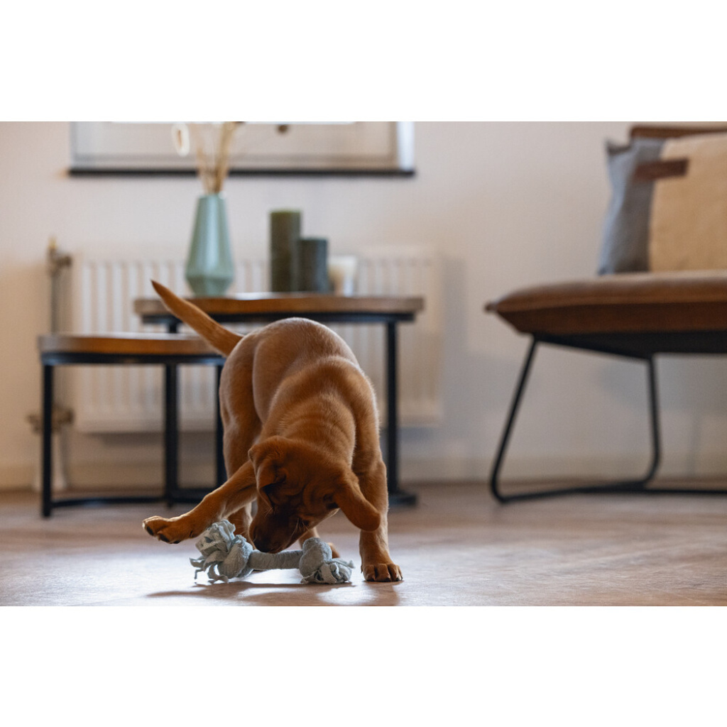 Beeztees Peluş Çift Düğümlü Diş İpi Yavru Köpek Oyuncağı 20x6x4,5cm (Mavi)