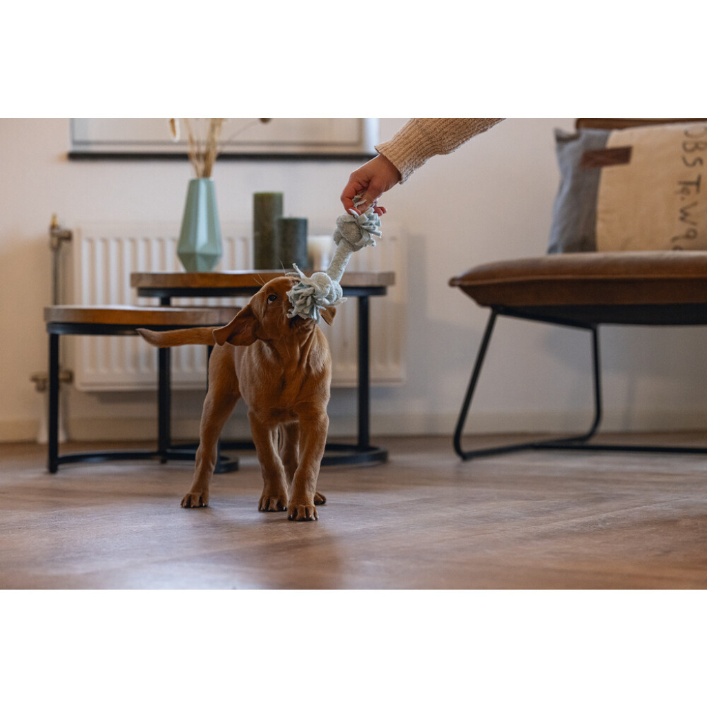 Beeztees Peluş Çift Düğümlü Diş İpi Yavru Köpek Oyuncağı 20x6x4,5cm (Mavi)