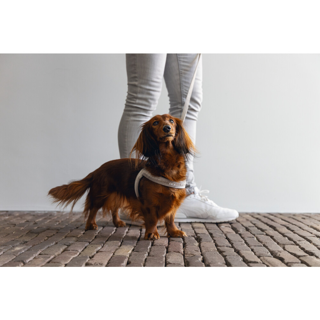 Beeztees Dbl Lotte Köpek Göğüs Tasması 52cm (Gri)